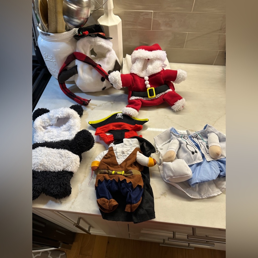 Pet Costume Set - Santa, Panda, Pirate, and More